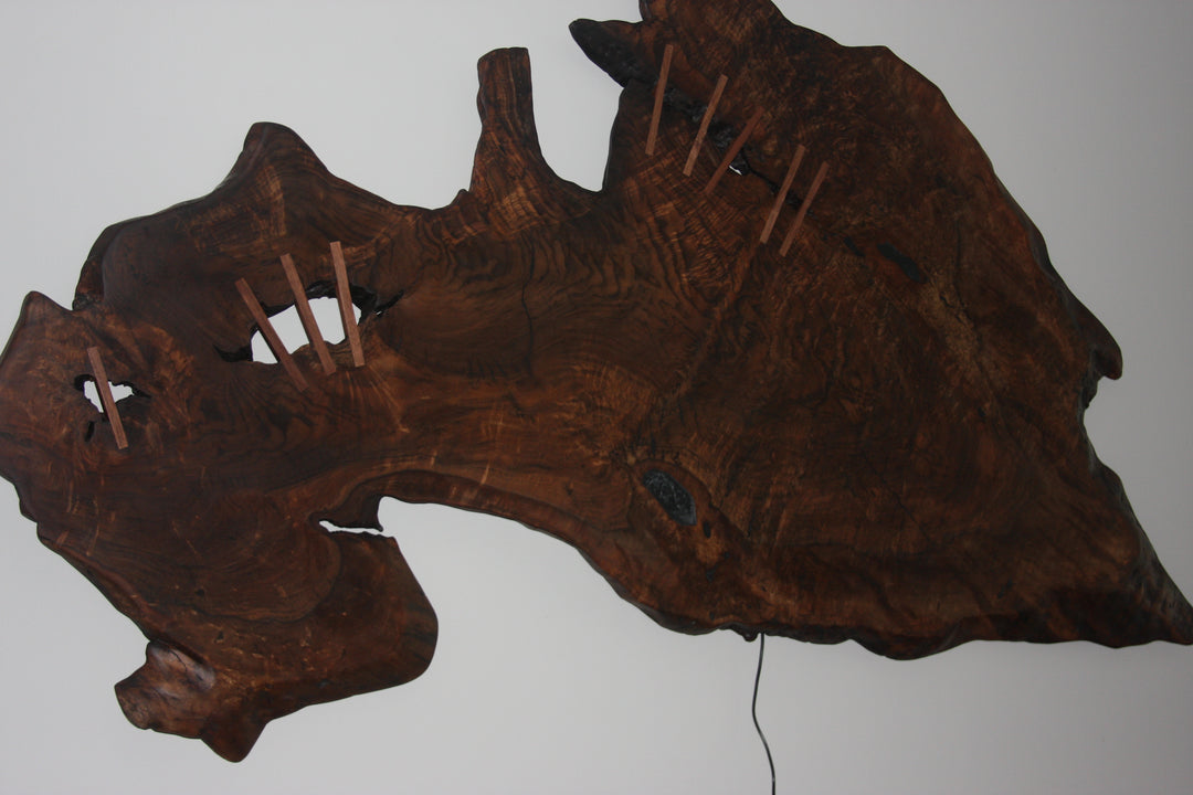 Claro walnut live edge cross cut slab wall art