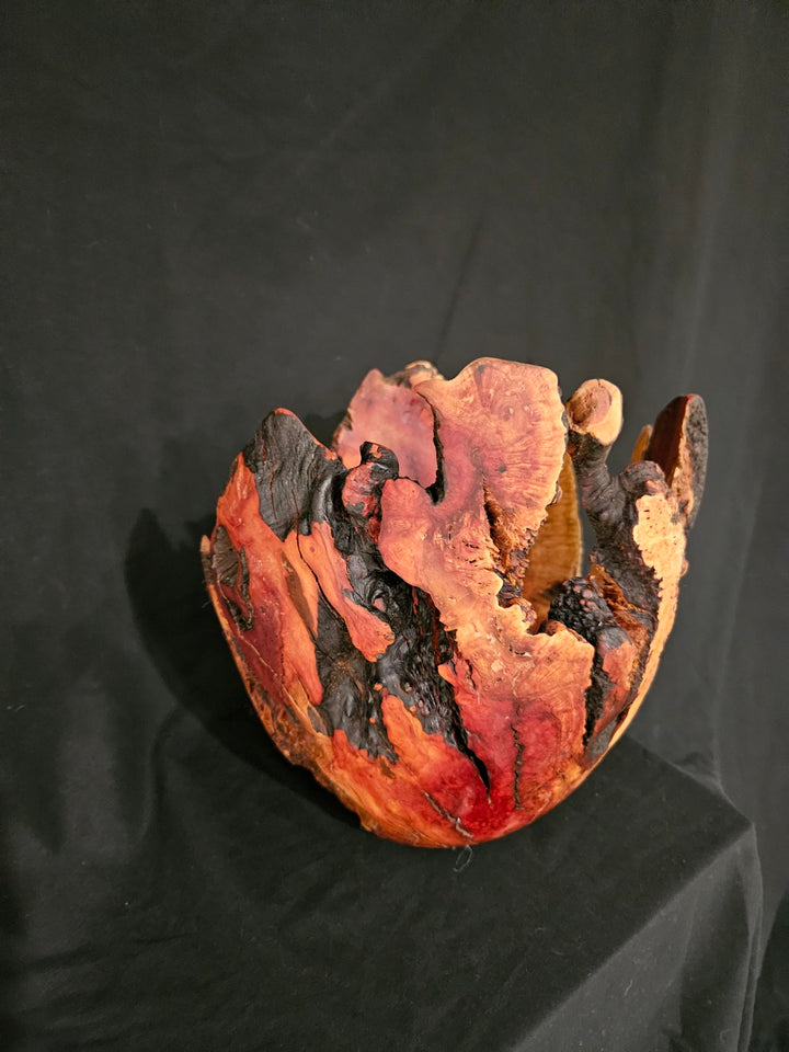 Manzanita burl flaming open vessel