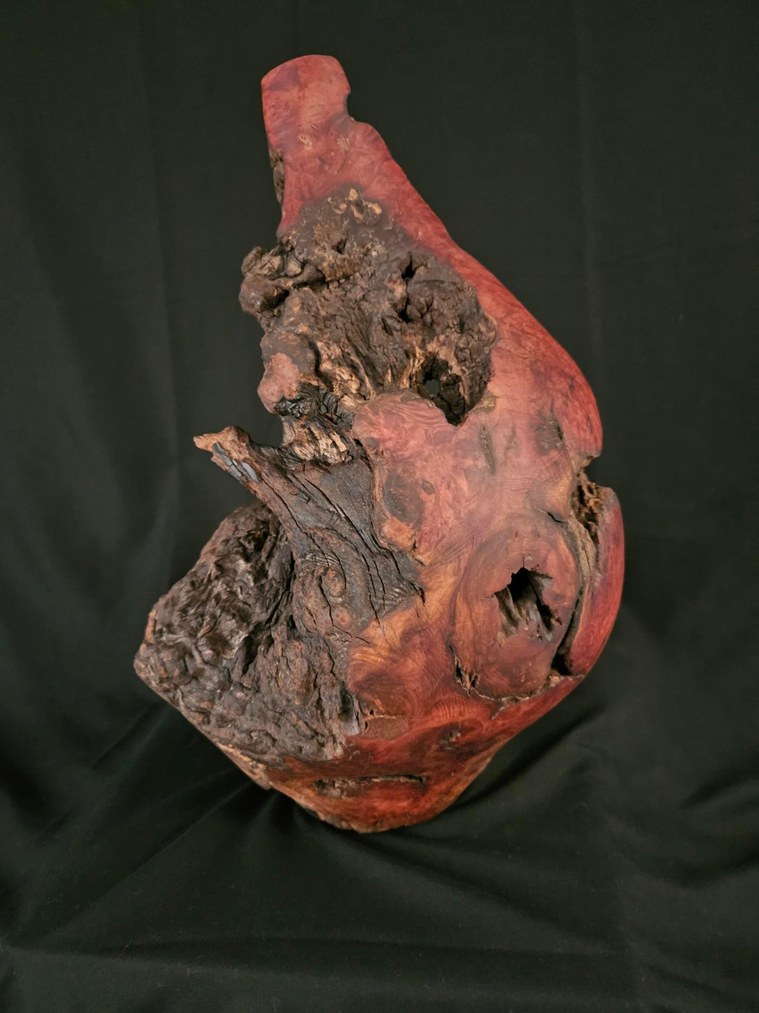 Manzanita Burl Bud Vase "Relic Series"