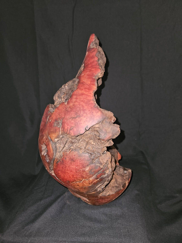 Manzanita Burl Bud Vase "Relic Series"