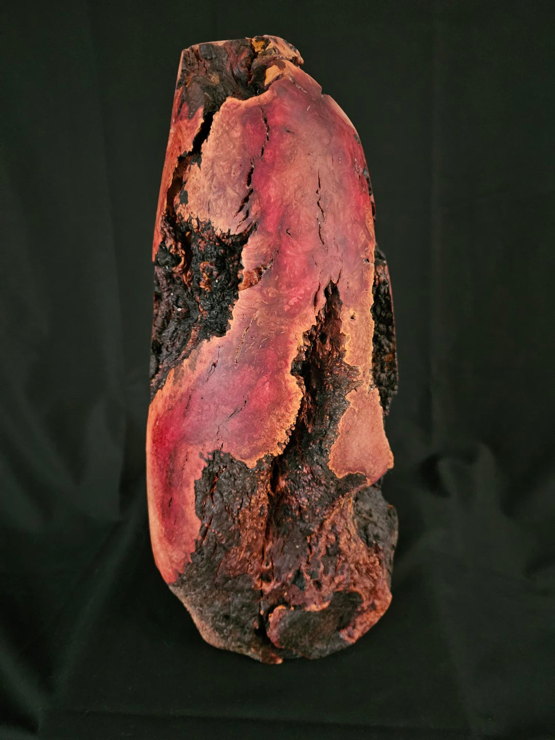 Manzanita Burl Tall vase (relic series)