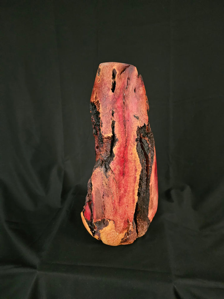 Manzanita Burl Tall vase (relic series)