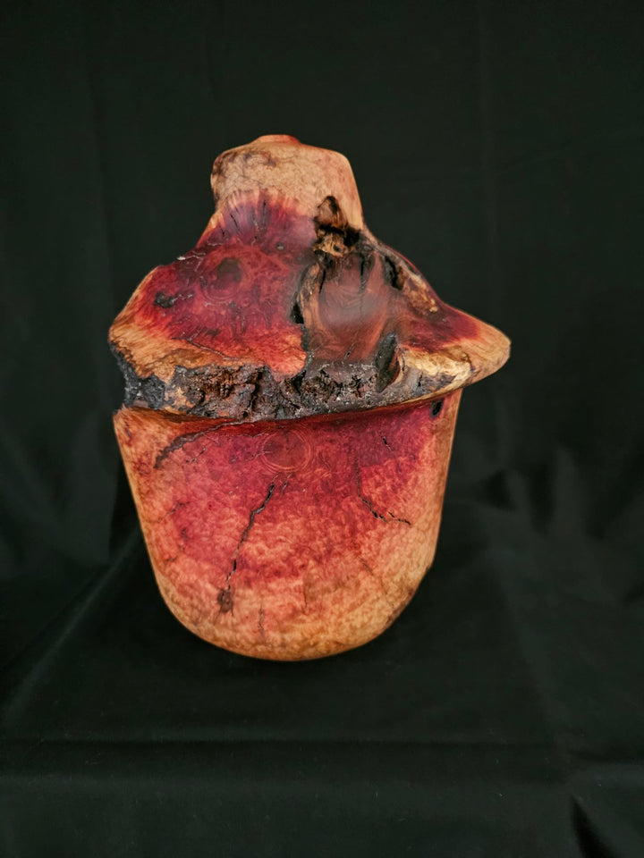 Manzanita Burl Ginger Pot from my Relic Series