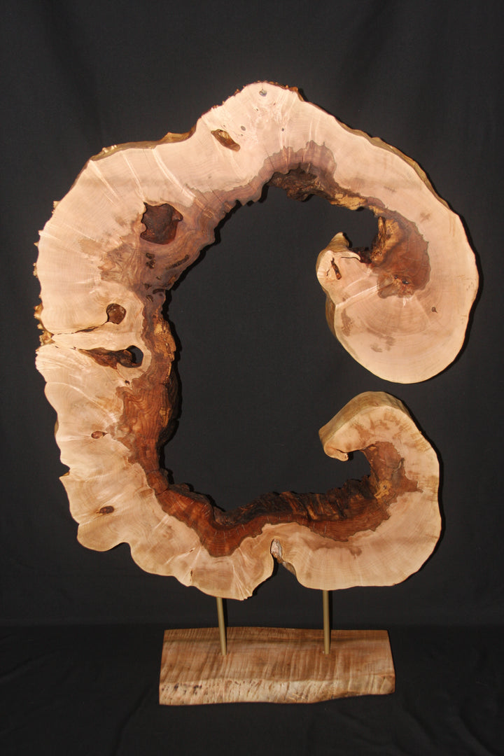 Extra large maple burl cookie cut sculpture