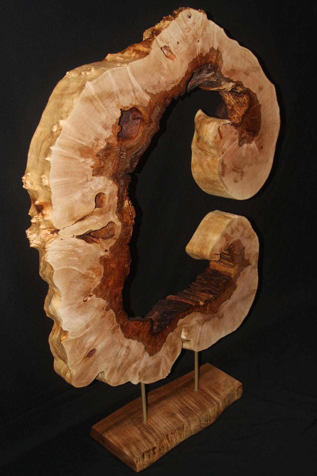 Extra large maple burl cookie cut sculpture